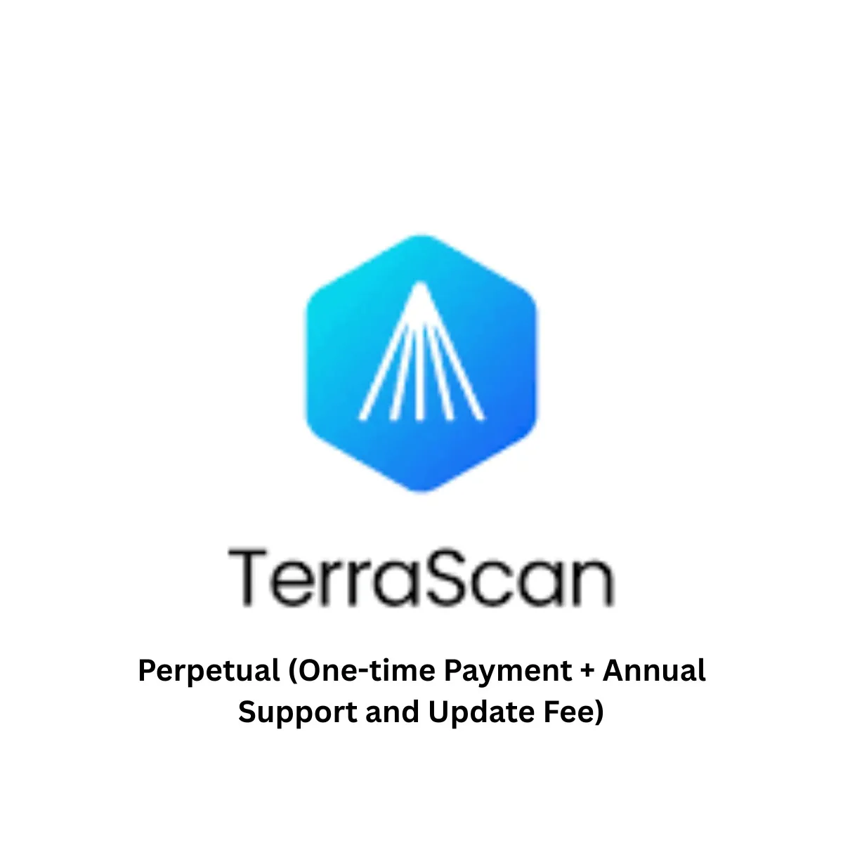 TerraScan - Perpetual (One-time Payment + Annual Support and Update Fee) 