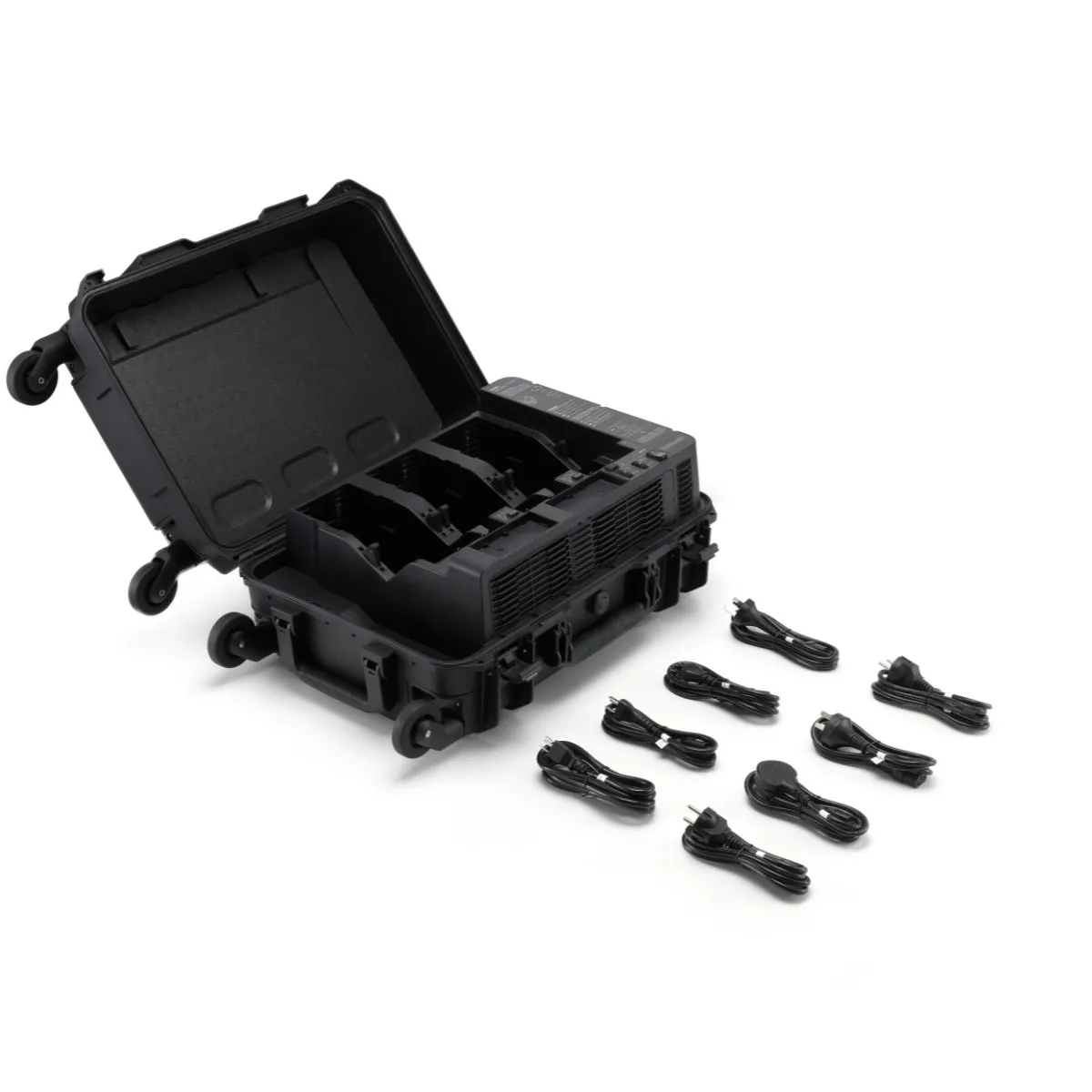 BS100 Intelligent Battery Station 