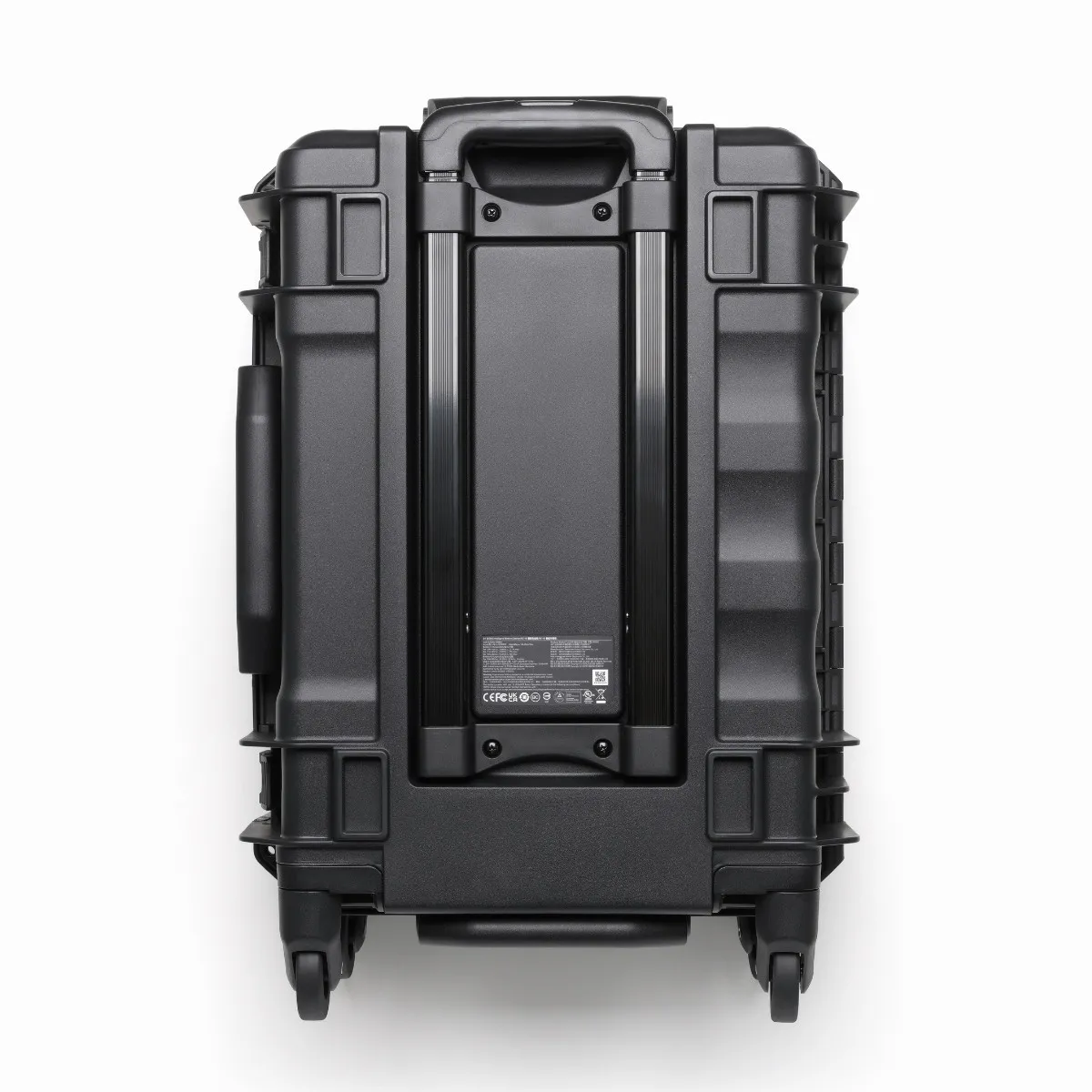 BS100 Intelligent Battery Station 