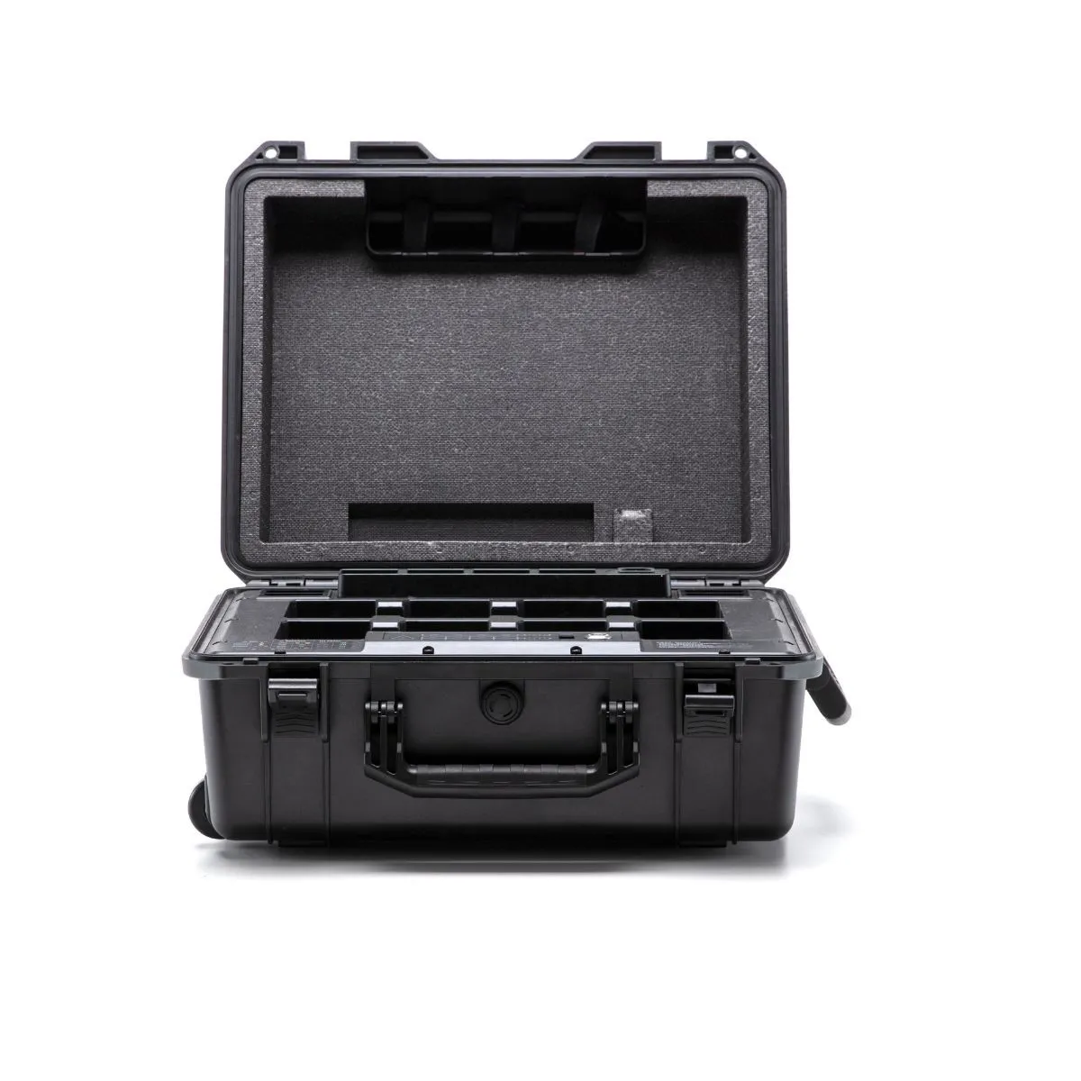 BS60 Intelligent Battery Station 