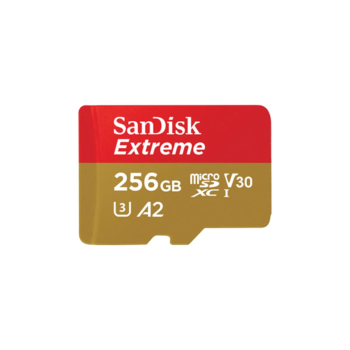 SanDisk 256GB 