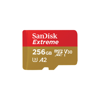 SanDisk 256GB 