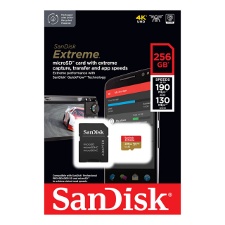 SanDisk 256GB 