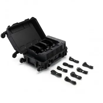 BS100 Intelligent Battery Station 