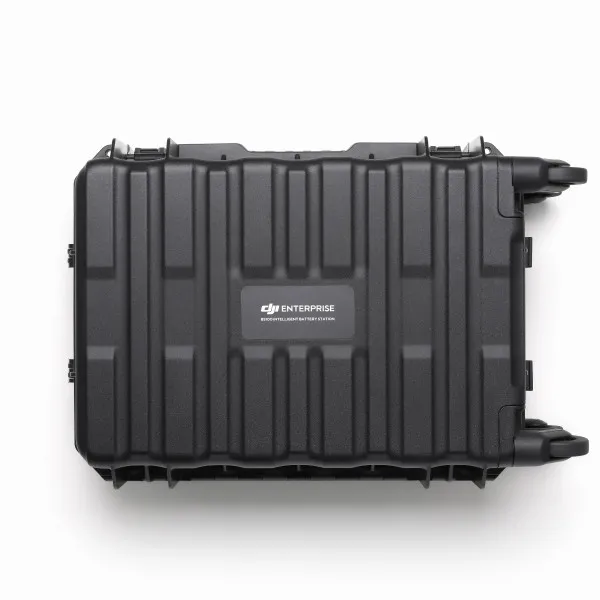 BS100 Intelligent Battery Station 