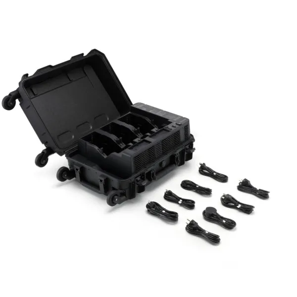 BS100 Intelligent Battery Station 